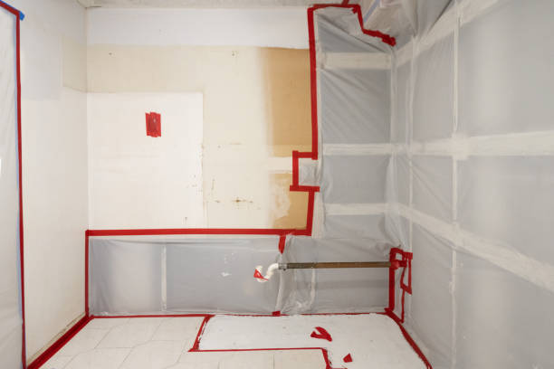 Best Mold Removal for HVAC Installations  in Munfordville, KY