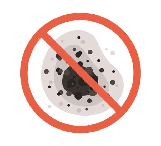 Best Biohazard Mold Removal  in Munfordville, KY