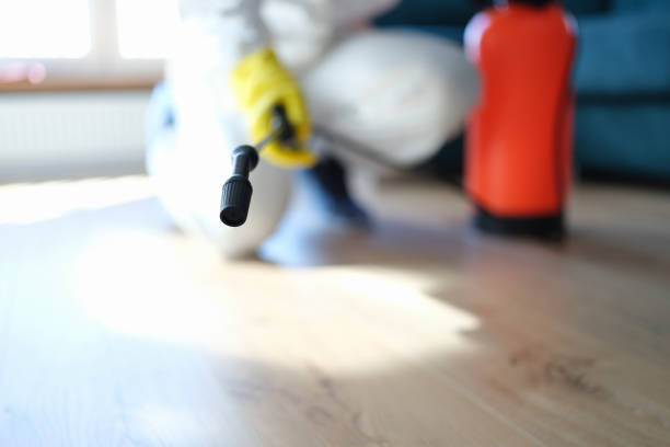 Mold Remediation for Rental Properties in Munfordville, KY