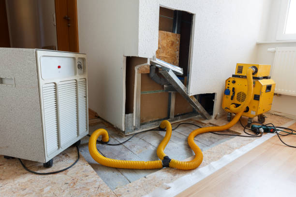 Reliable Munfordville, KY Mold Removal Solutions
