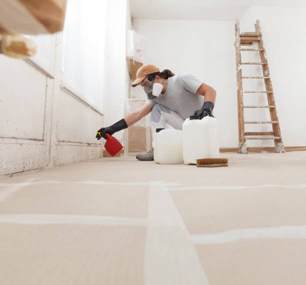 Best Mold Remediation for Healthcare Facilities  in Munfordville, KY